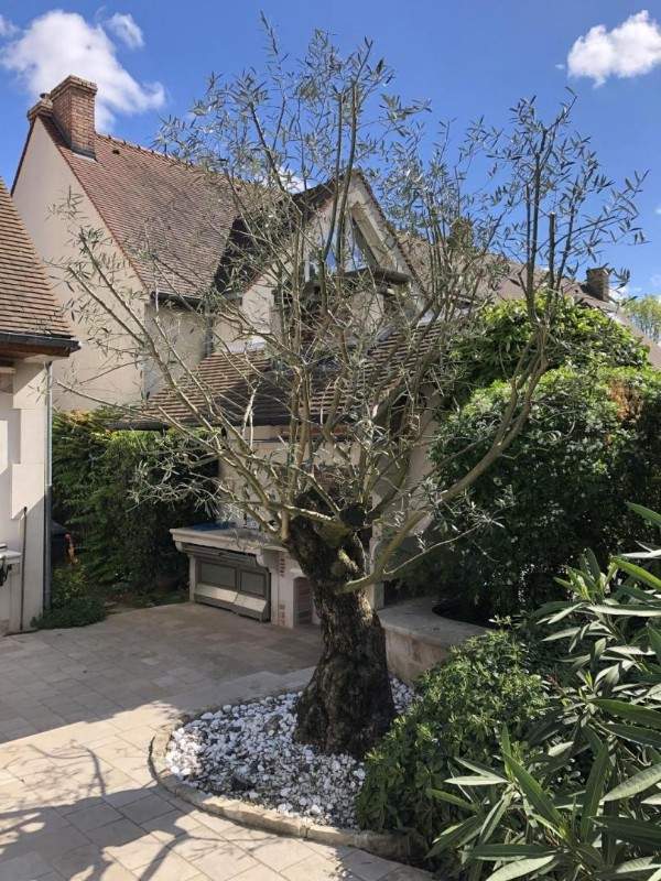 Création de jardin Wissous