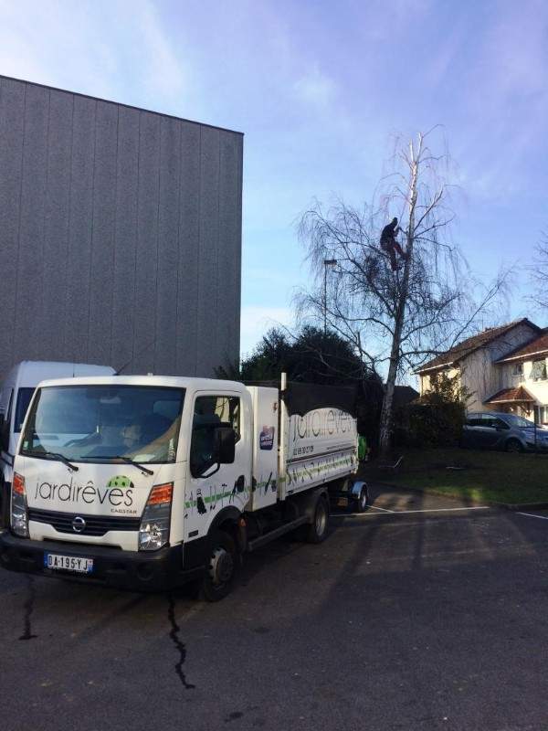 Des paysagistes expérimentés à votre service à Wissous