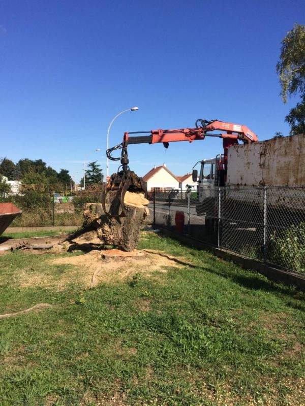 Des élagueurs expérimentés à votre service à Wissous