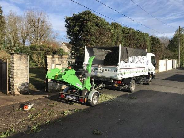 Création de jardin Wissous