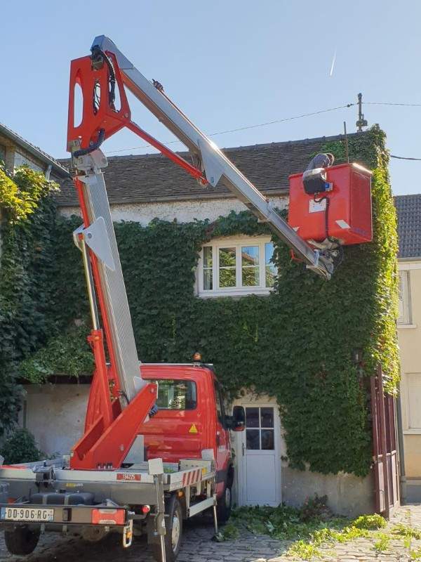 Tous travaux de taille de haies à Wissous