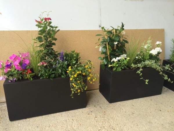 Des spécialistes de la création de jardin à votre service à Wissous