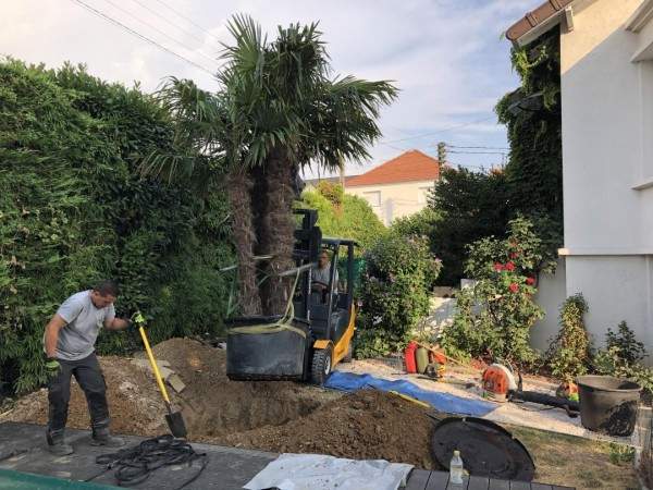 Service d’entretien de jardin à Wissous