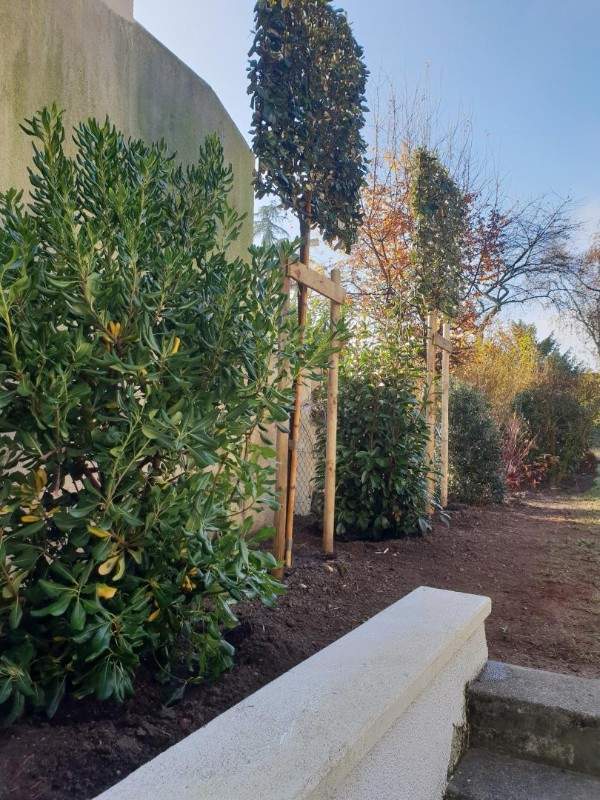 Des spécialistes de la création de jardin à votre service à Wissous