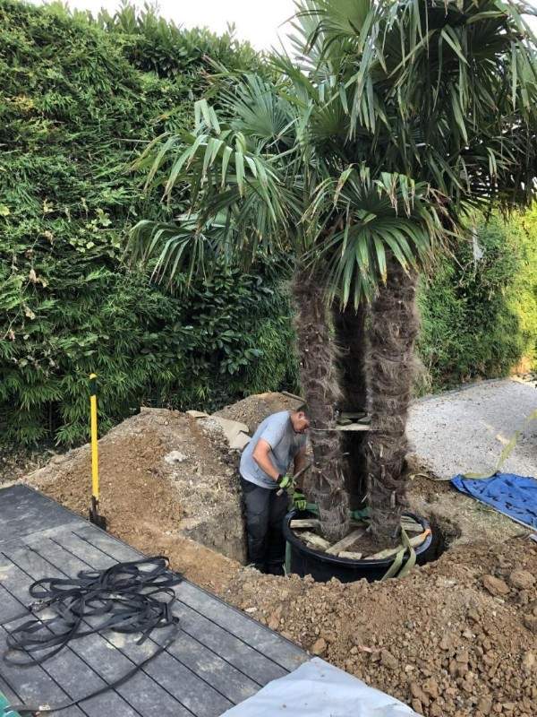 Des spécialistes de la création de jardin à votre service à Wissous