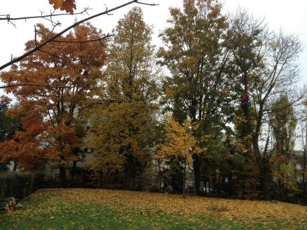 Des spécialistes de la création de jardin à votre service à Wissous