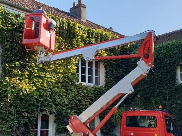 Des tailleurs de haies expérimentés à votre service à Wissous