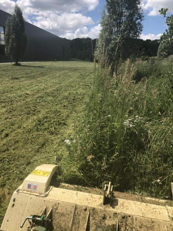 Tous travaux d'entretien de jardin à Wissous