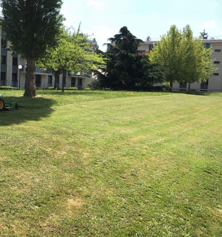 Service d’entretien de jardin à Wissous