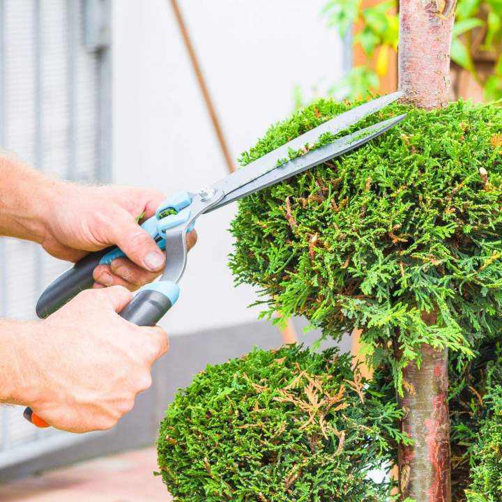 Nos paysagistes qualifiés sauront tailler convenablement vos haies.